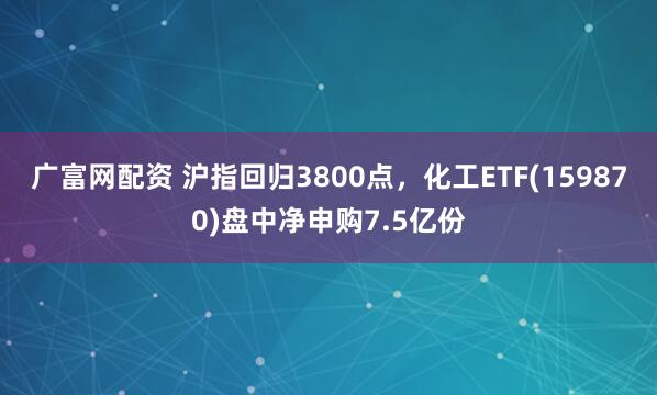 广富网配资 沪指回归3800点，化工ETF(159870)盘中净申购7.5亿份