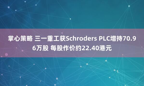 掌心策略 三一重工获Schroders PLC增持70.96万股 每股作价约22.40港元